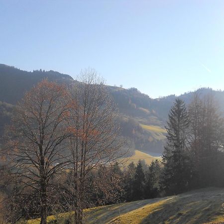 Chalet In Niederndorf Near Kufstein With Balcony Niederndorferberg Ngoại thất bức ảnh