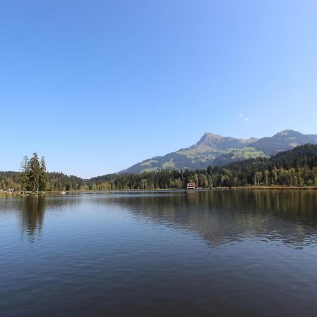 Chalet In Niederndorf Near Kufstein With Balcony Niederndorferberg Ngoại thất bức ảnh