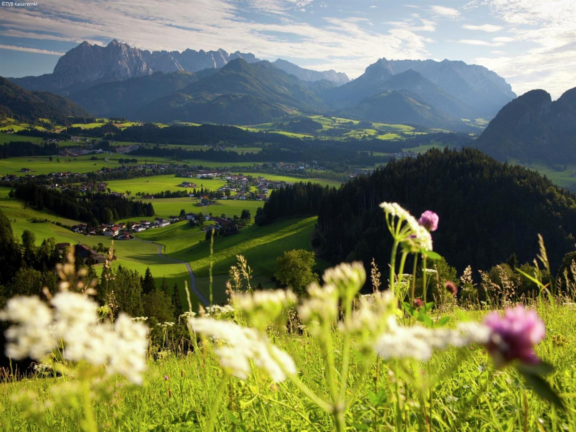 Chalet In Niederndorf Near Kufstein With Balcony Niederndorferberg Ngoại thất bức ảnh